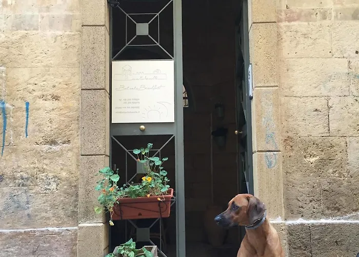 Antiche Volte Bed & Breakfast Lecce