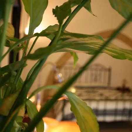 Bed & Breakfast Antiche Volte
